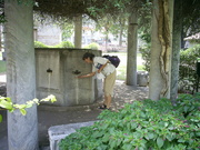  [photo]