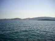  [photo]