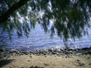  [photo]