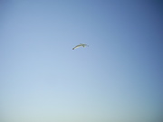  [photo]