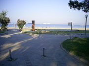  [photo]