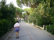 [photo]
