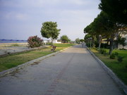  [photo]