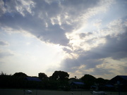  [photo]