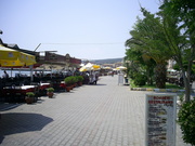  [photo]