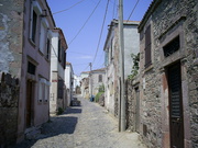  [photo]