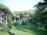  [photo]