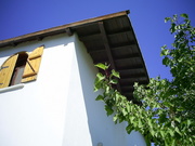  [photo]