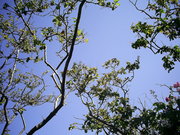  [photo]