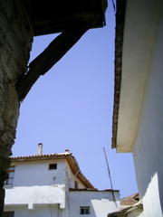  [photo]