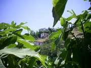  [photo]