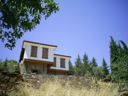  [photo]