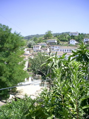  [photo]
