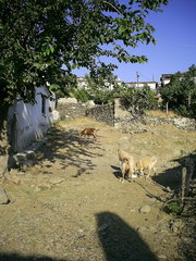  [photo]