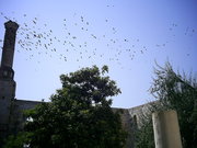  [photo]