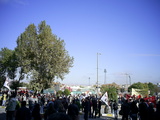 [photo]