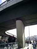 [photo]