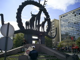 [photo]