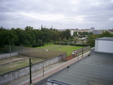 [photo]