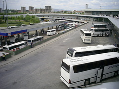 [photo]