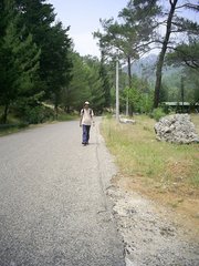 [photo]