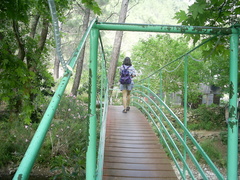 [photo]