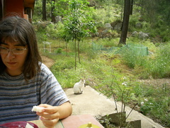[photo]