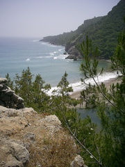 [photo]