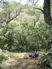[photo]