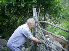 [photo]