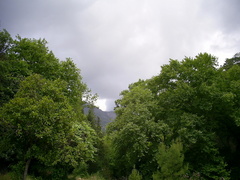 [photo]