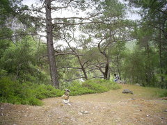 [photo]
