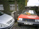  [photo]