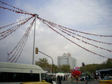  [photo]