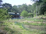  [photo]