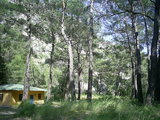  [photo]