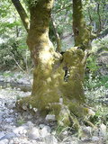  [photo]
