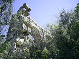  [photo]