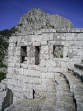  [photo]