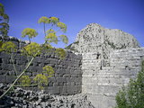  [photo]