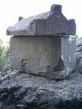  [photo]