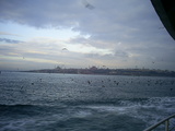  [photo]