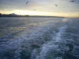  [photo]