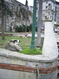  [photo]