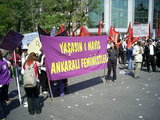  [photo]