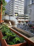  [photo]