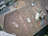  [photo]