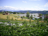  [photo]