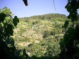  [photo]