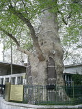  [photo from Istanbul, April, 2009]
